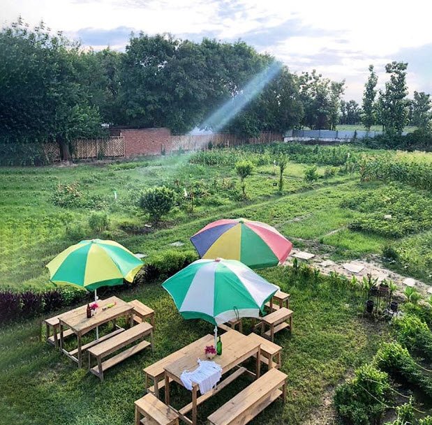 The Prodigal Farms, Gautam Buddha Nagar, Uttar Pradesh - Vushii.com